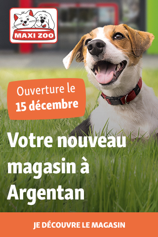 blog-ad