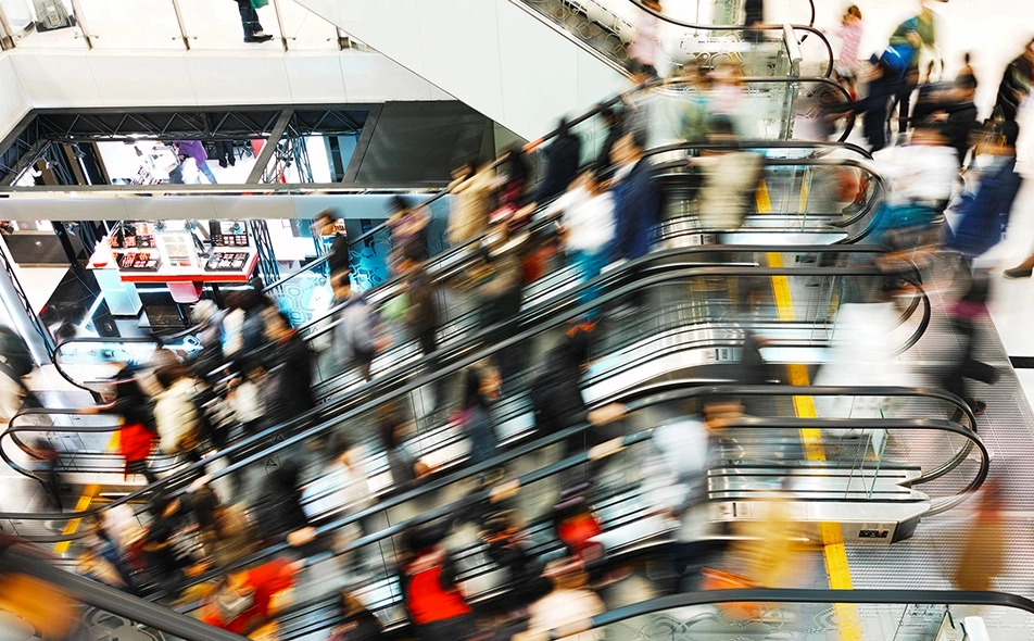 solution-customer-insights