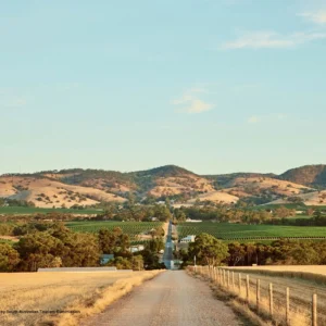 How the South Australian Tourism Commission Leveraged InfoSum and Azira to Measure 42% Uplift in Visitors with SBS On Demand
